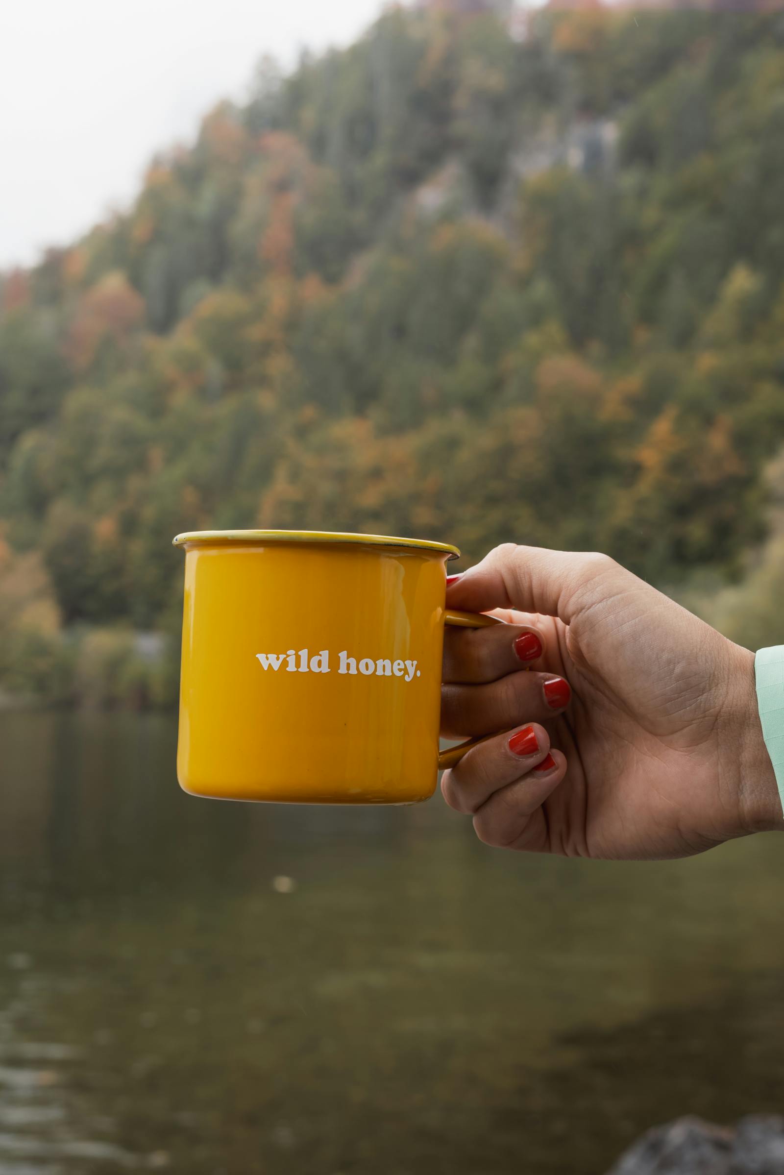 A yellow mug with wild honey text held against picturesque autumn scenery in Austria.