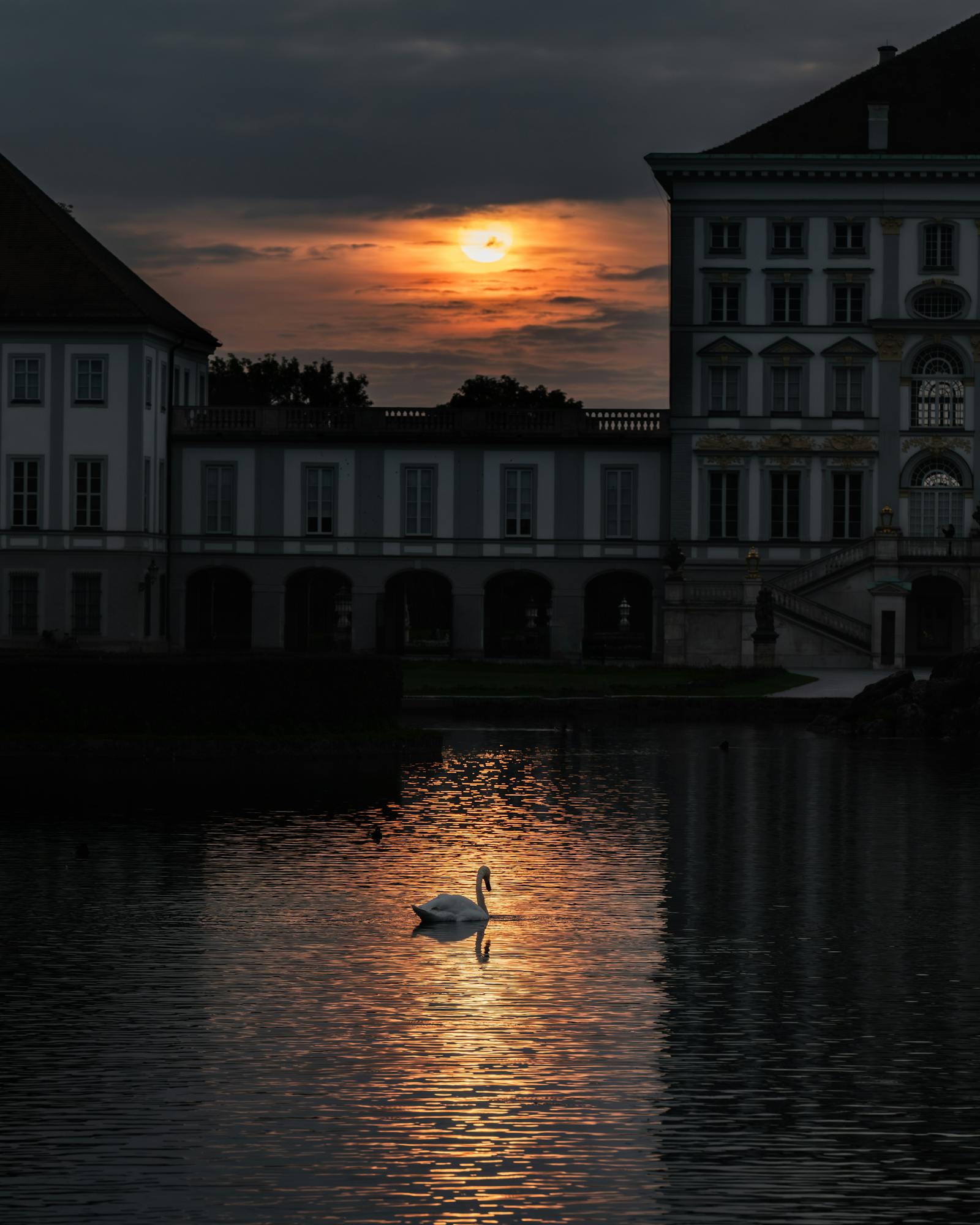 A serene swan glides in a sunset-lit pond near an elegant palace facade, creating a tranquil scene.