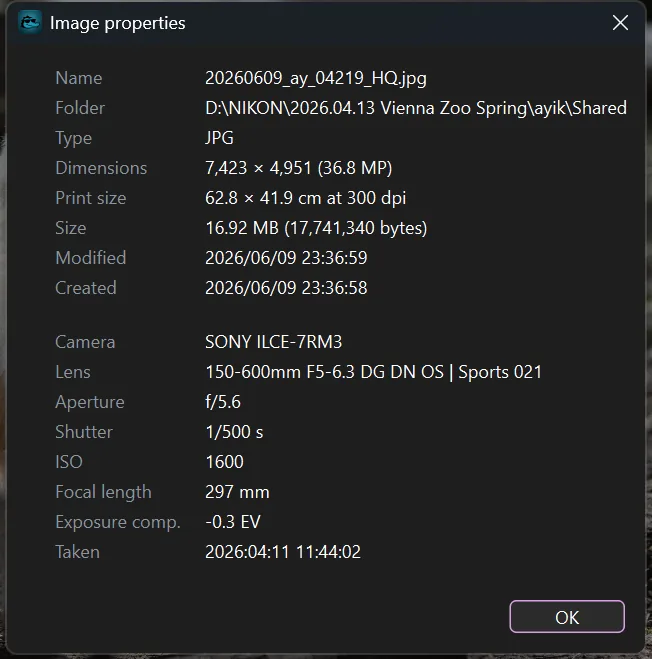 The Image properties dialog showing dimensions, print size and a full camera block