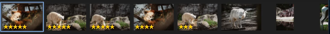 A filmstrip of wildlife thumbnails, the first five carrying gold star ratings — three at five stars, then four, then three — grouped ahead of the unrated frames